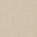 Boucle Teddy velour fabric - cream - Bladi