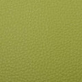 faux leather /skai Bronco - apple green - Bladi