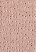 faux leather / leatherette Ostrich - beige - Bladi