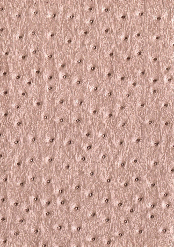 faux leather / leatherette Ostrich - beige - Bladi