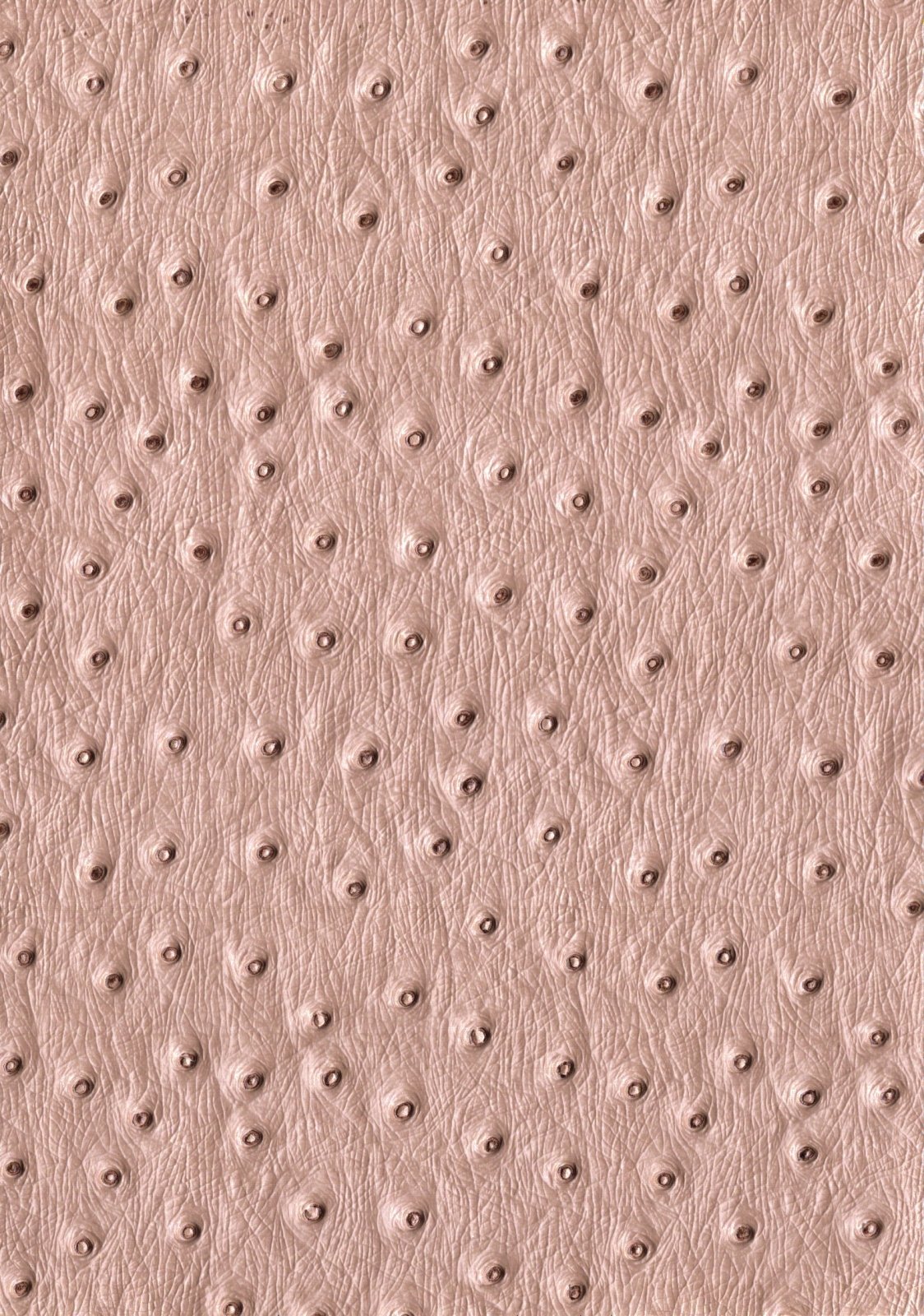 Kunstleer / skai Ostrich - beige - Bladi