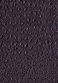 faux leather / leatherette Ostrich - black - Bladi