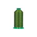 Naaigaren Dikte 40 - 3000 /M Spoel - appel groen - Bladi