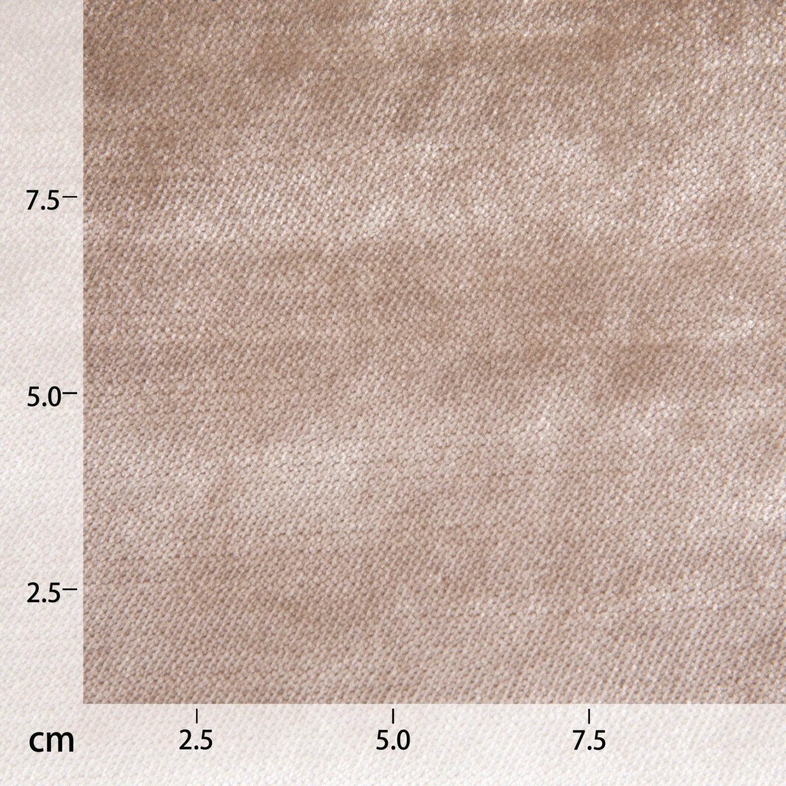 Velvet glamor - camel - Bladi