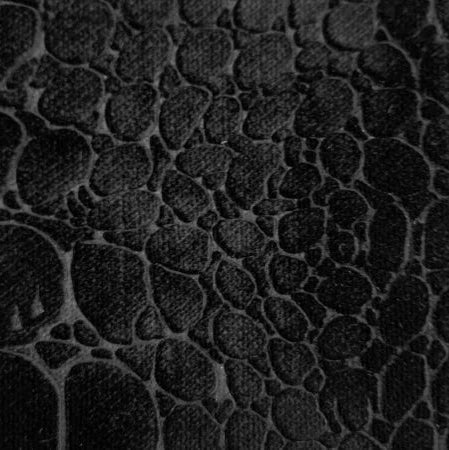 Velvet glamour croco - Zwart - Bladi