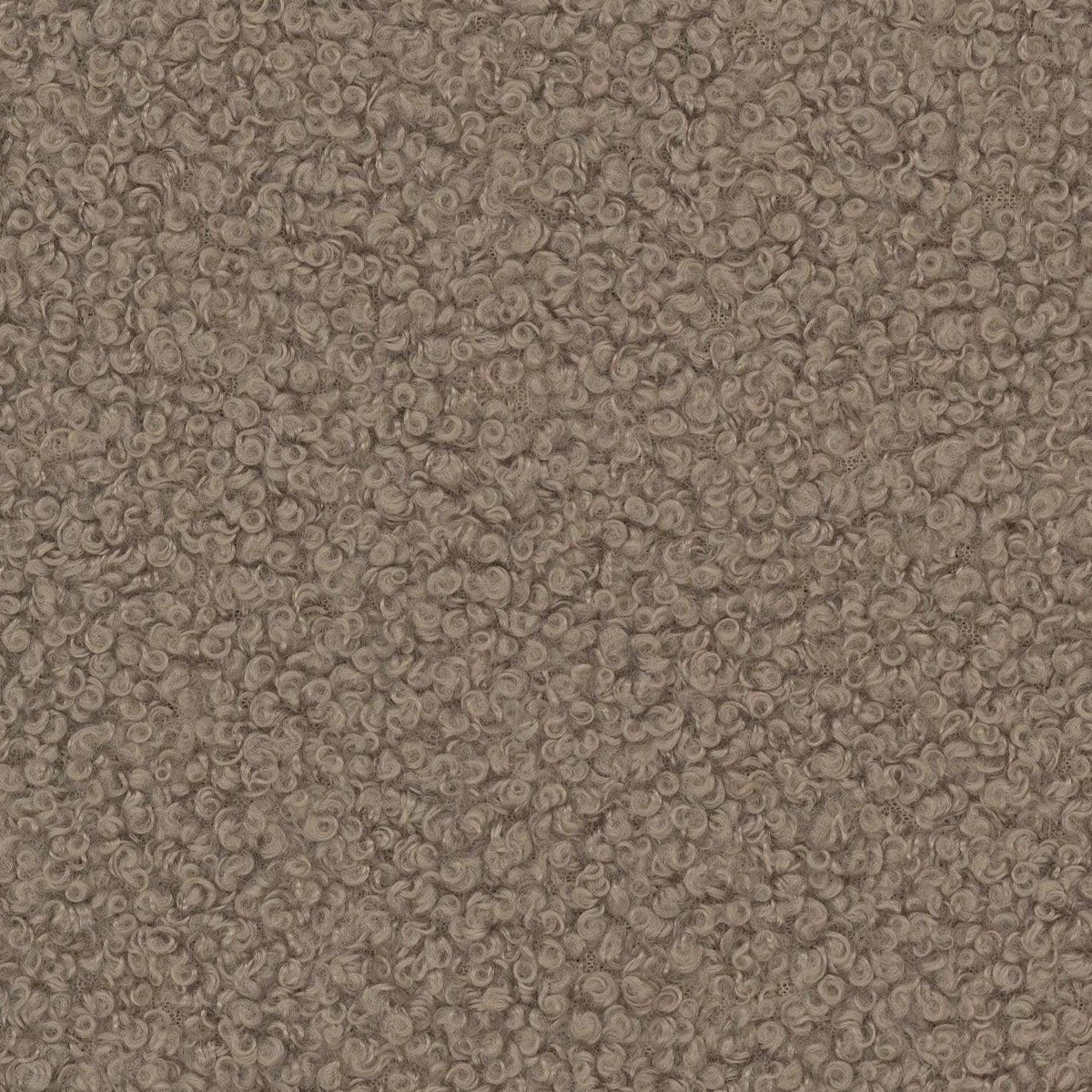 Bouclé Teddy velours stof - taupe - Bladi