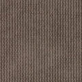 Ribbed chenille - dark taupe - Bladi