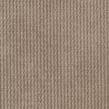 Ribbed chenille - taupe - Bladi