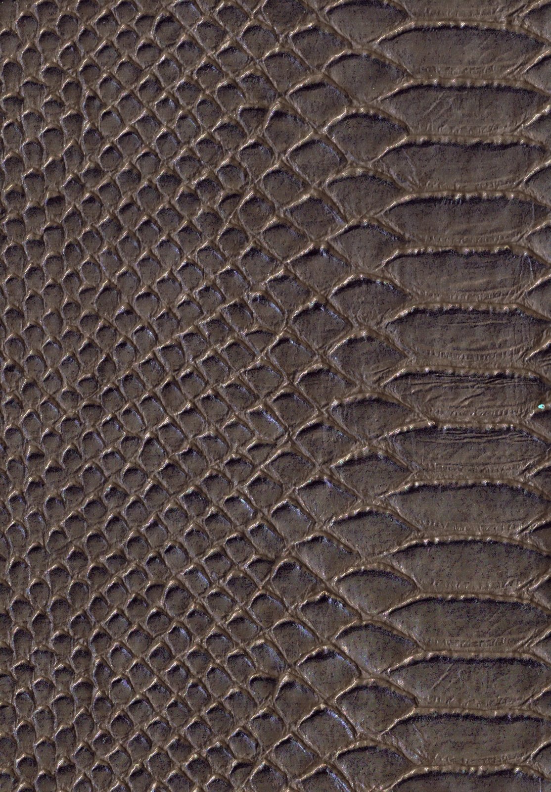 Kunstleer / skai Anakonda - groen - Bladi