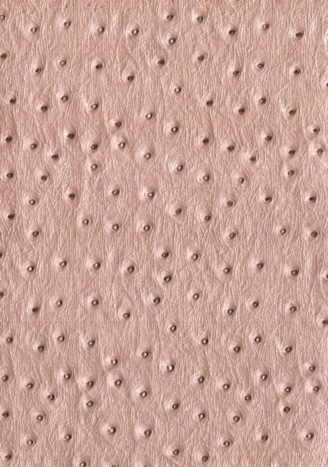 Kunstleer / skai Ostrich - beige - Bladi