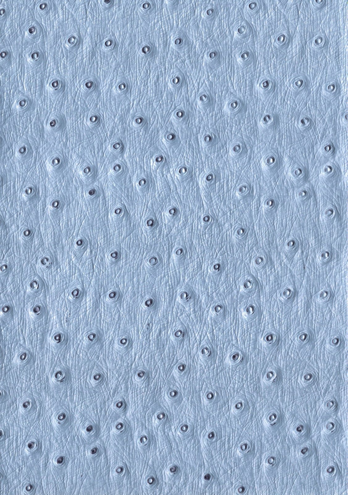 Kunstleer / skai Ostrich - blauw - Bladi