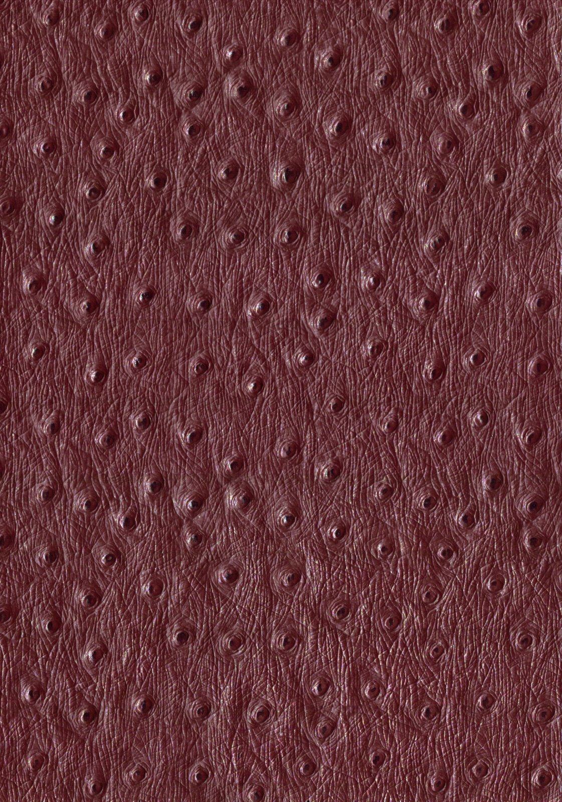 Kunstleer / skai Ostrich - bordeaux - Bladi