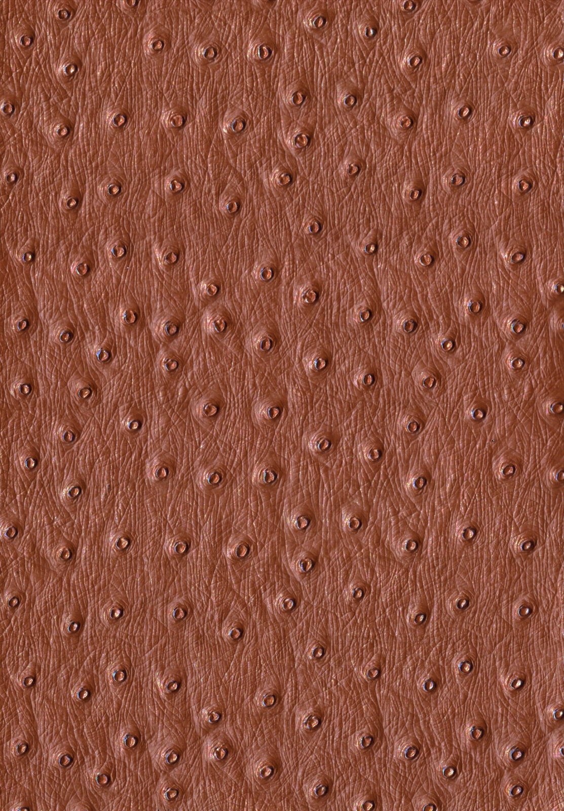 Kunstleer / skai Ostrich - bruin - Bladi