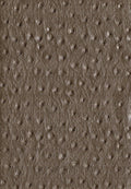 faux leather / leatherette Ostrich - green - Bladi