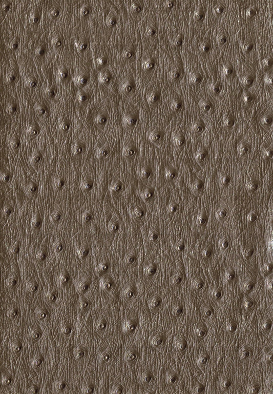 Cuir artificiel / skaï Autruche - vert - Bladi