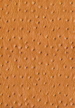 faux leather / leatherette Ostrich - ocher yellow - Bladi