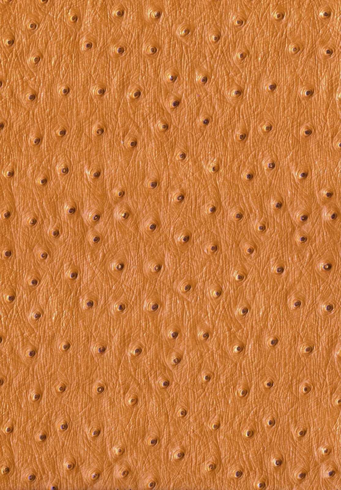 Kunstleer / skai Ostrich - okergeel - Bladi