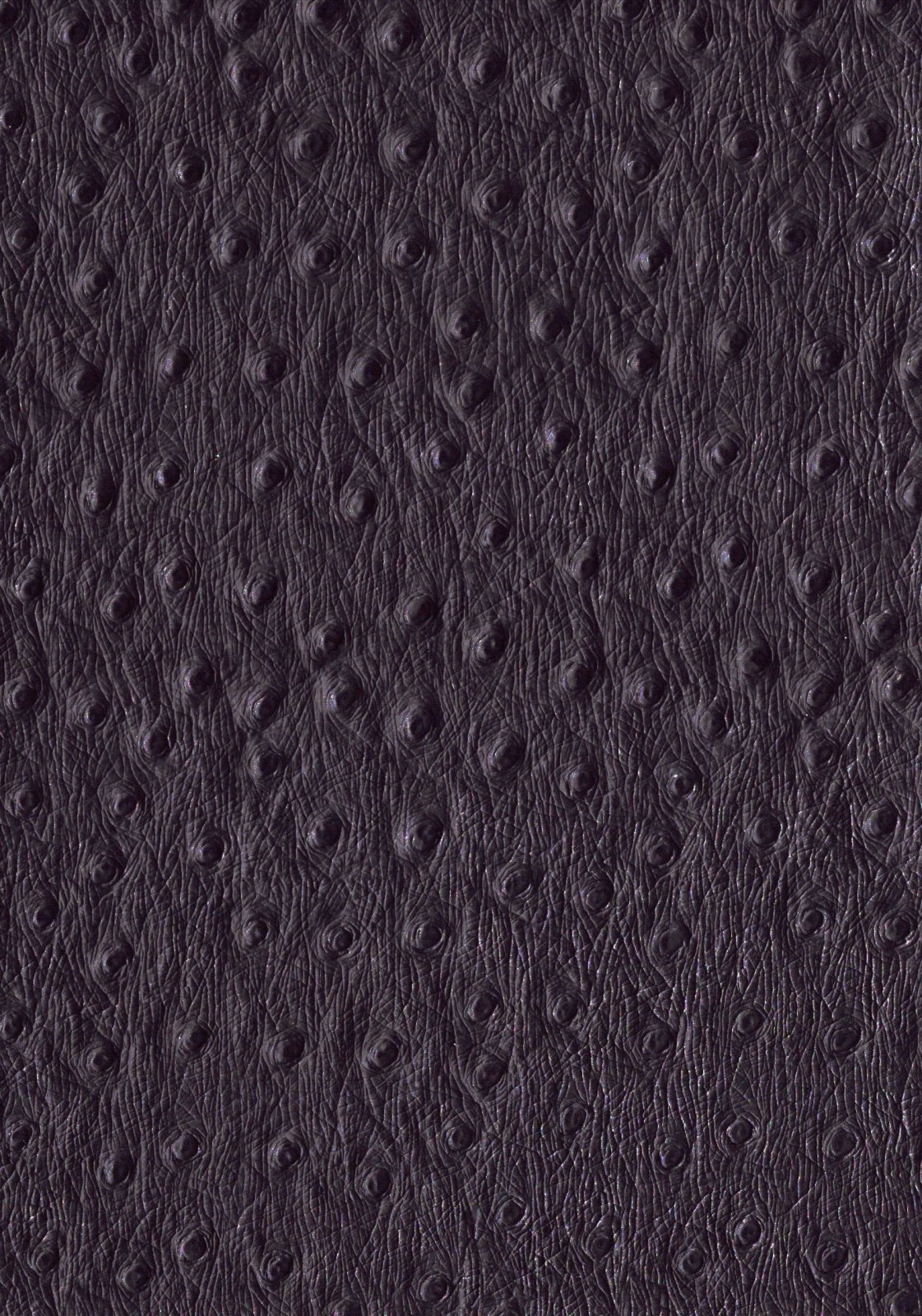 Kunstleer / skai Ostrich - zwart - Bladi