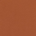 Skai faux leather Primera scratch-resistant - cognac - Bladi