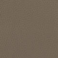 Skai faux leather Primera scratch-resistant - dark taupe - Bladi