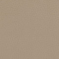 Skai faux leather Primera scratch-resistant - taupe - Bladi